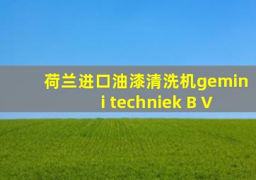 荷兰进口油漆清洗机gemini techniek B V